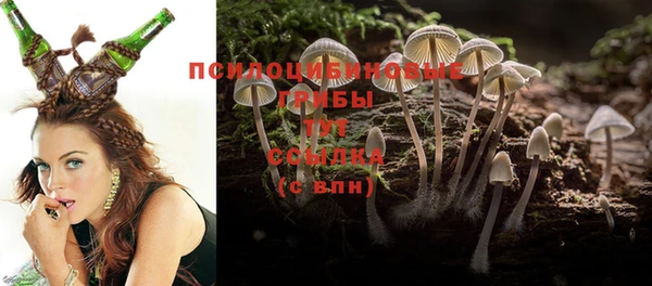 марки nbome Богданович